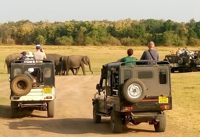 פנסיון Le Grand Meaulnes
