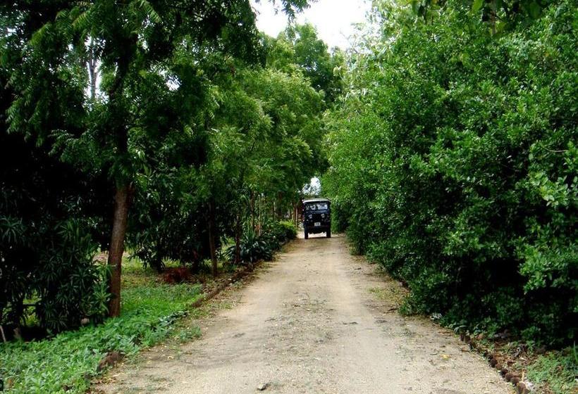 פנסיון Le Grand Meaulnes