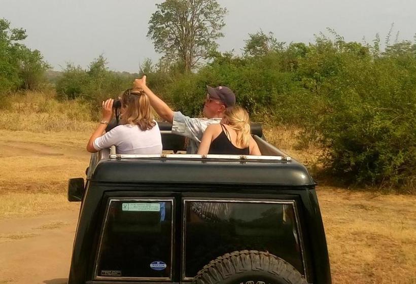 פנסיון Le Grand Meaulnes