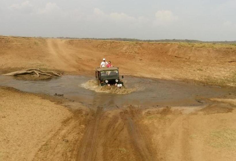 פנסיון Le Grand Meaulnes