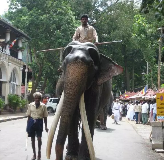 پانسیون Le Grand Meaulnes