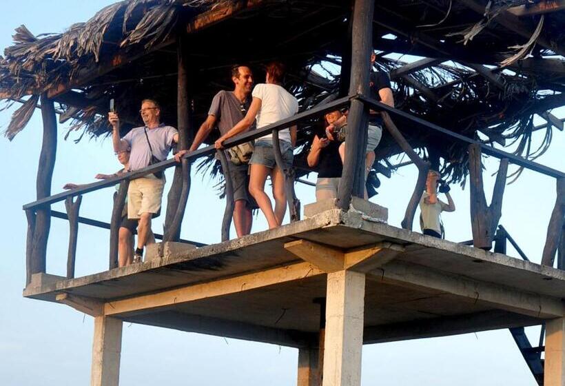 פנסיון Le Grand Meaulnes