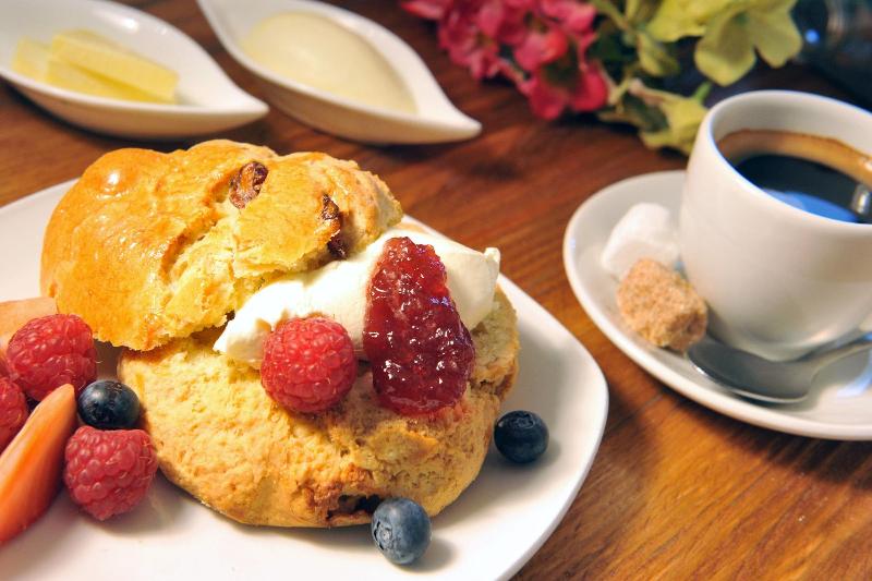 بنسيون The Gateway Lodge