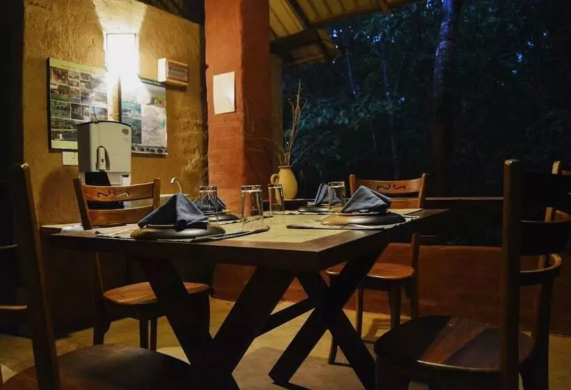 Back Of Beyond   Pidurangala