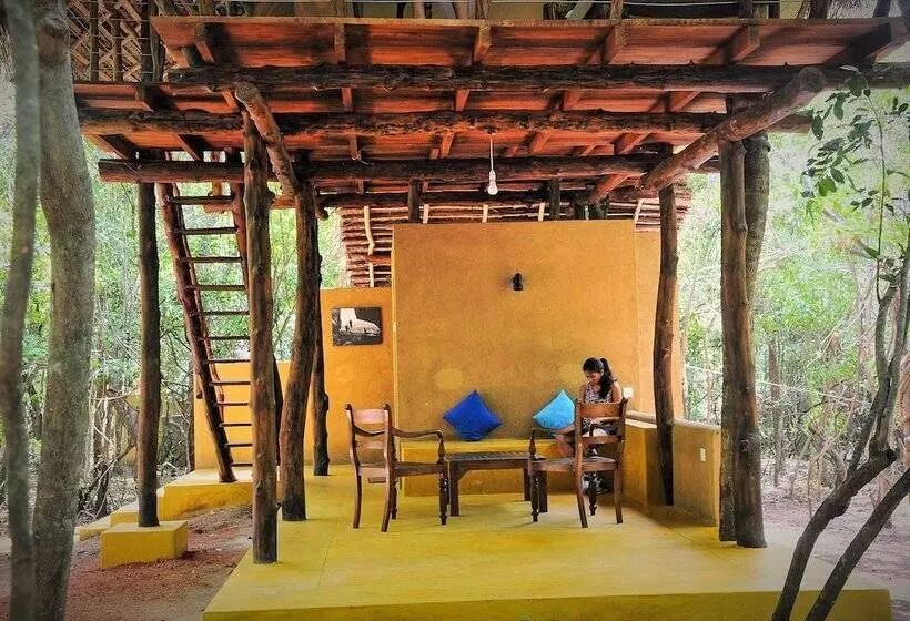 Back Of Beyond   Pidurangala