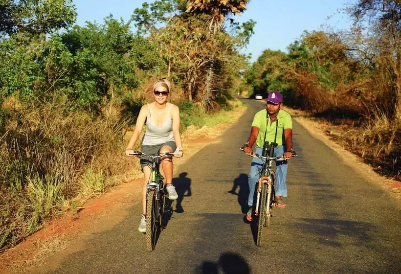 Back Of Beyond   Pidurangala