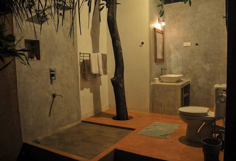 Back Of Beyond   Pidurangala