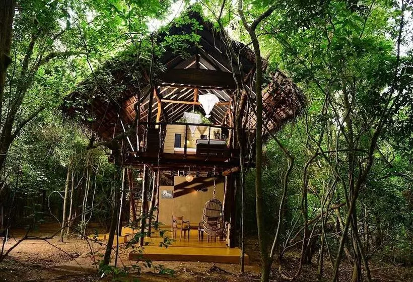 Back Of Beyond   Pidurangala