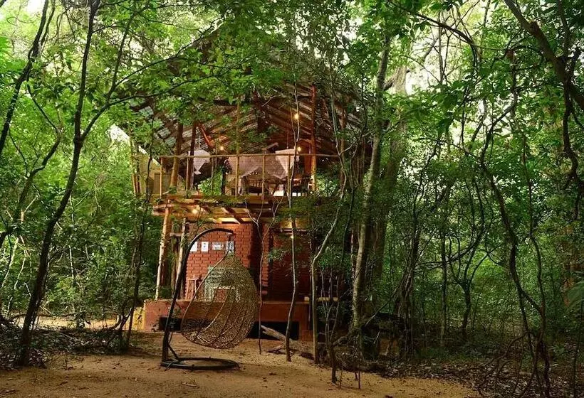 Back Of Beyond   Pidurangala