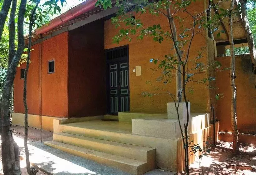 Back Of Beyond   Pidurangala