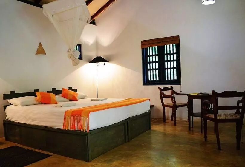 Back Of Beyond   Pidurangala