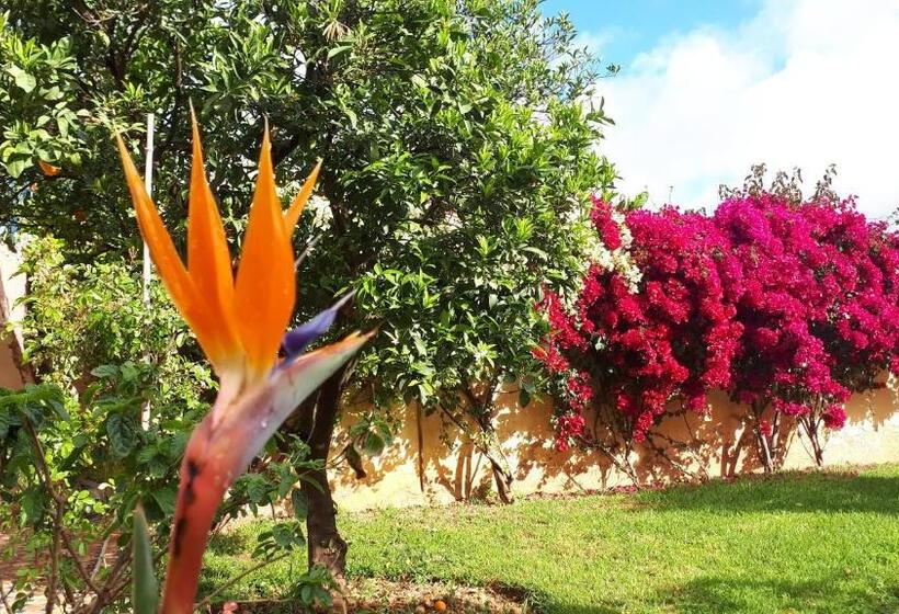 민박 Riad Dar Zidane