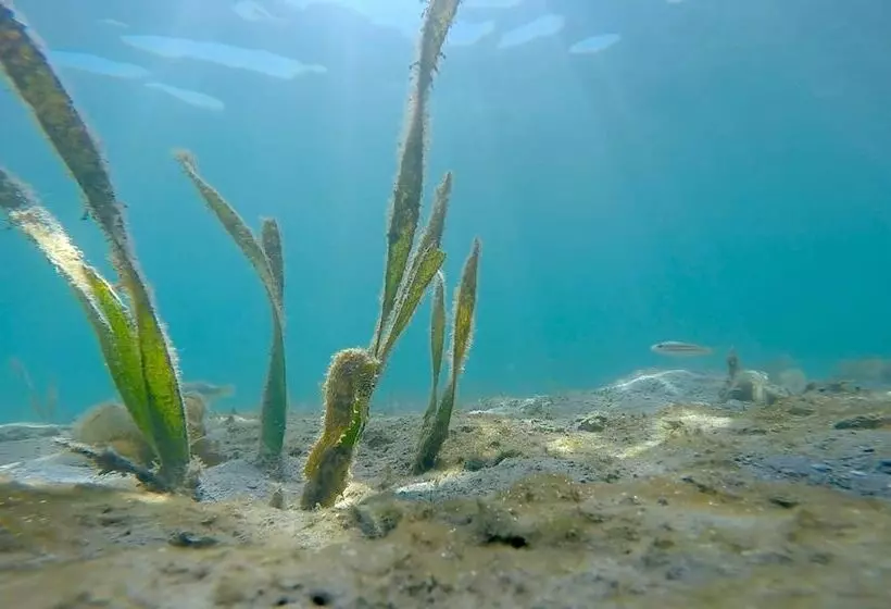 Chindonan Dive And Beach Resort