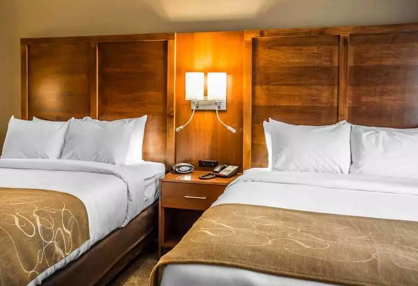 فندق Comfort Suites Hartville North Canton