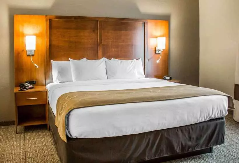 فندق Comfort Suites Hartville North Canton
