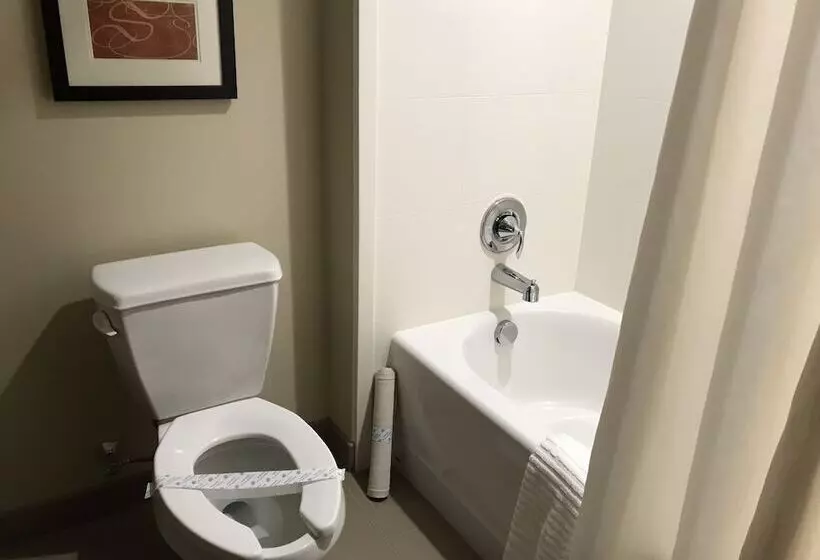 فندق Comfort Suites Hartville North Canton