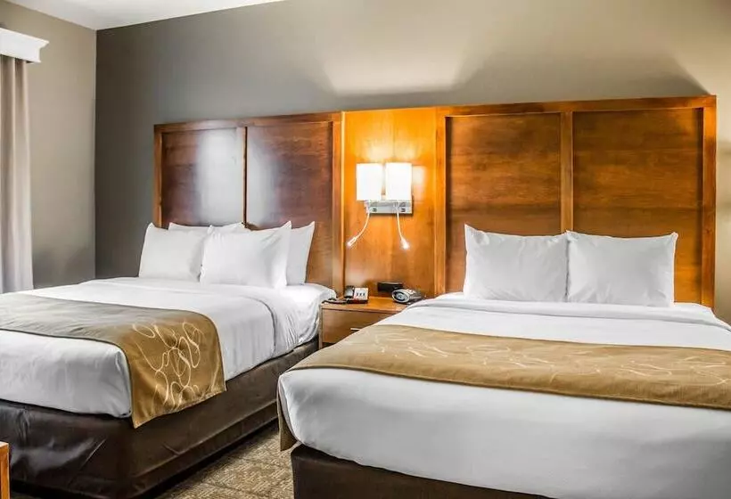 فندق Comfort Suites Hartville North Canton
