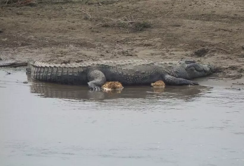 هتل Eco Adventure Resort