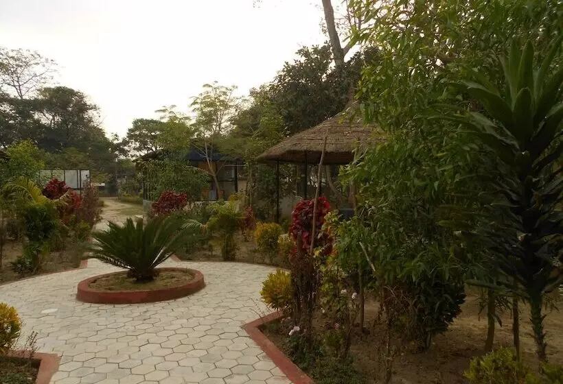 هتل Eco Adventure Resort