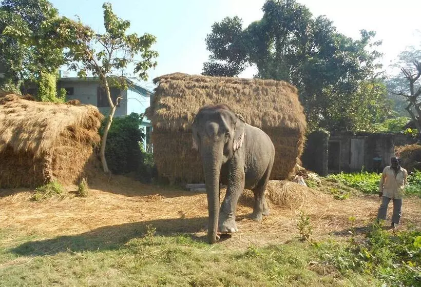 هتل Eco Adventure Resort