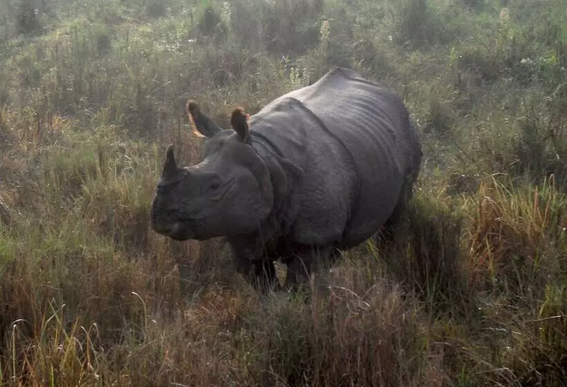 هتل Eco Adventure Resort