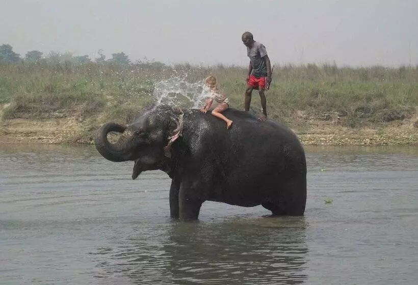 هتل Eco Adventure Resort