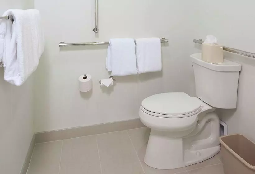 هتل Hilton Garden Inn Pittsburgh Downtown