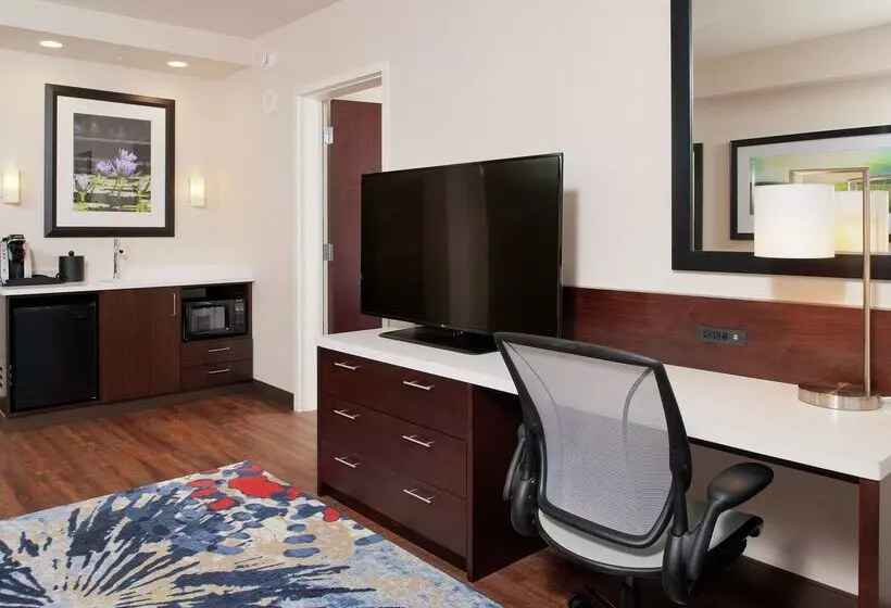 هتل Hilton Garden Inn Pittsburgh Downtown