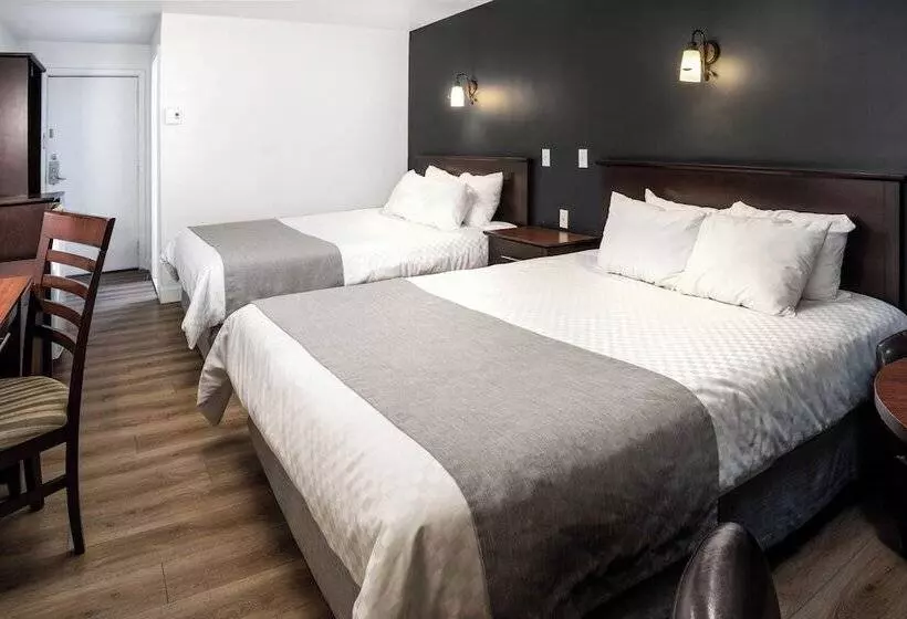 Отель Marineau La Tuque Centre