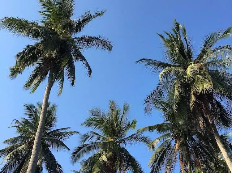 ホテル Koh Tao Heritage