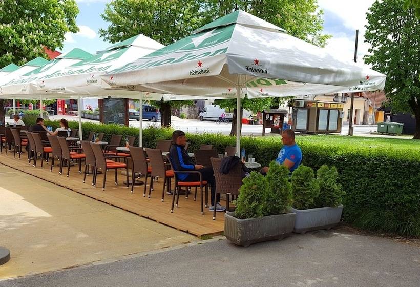 Отель Pansion Park