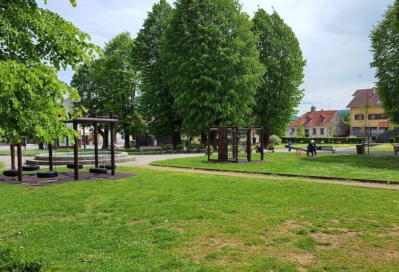 Отель Pansion Park