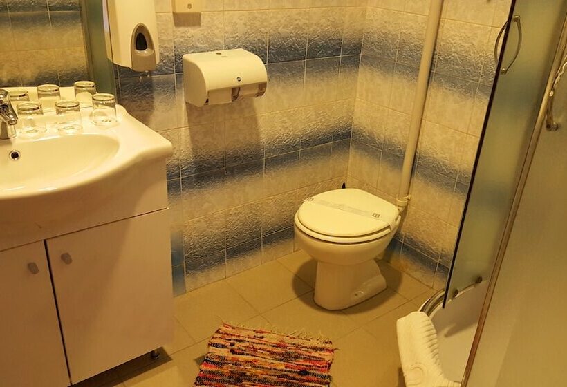 Отель Pansion Park