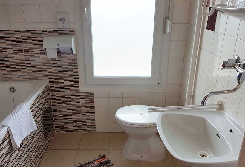 Отель Pansion Park