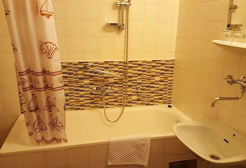 Отель Pansion Park