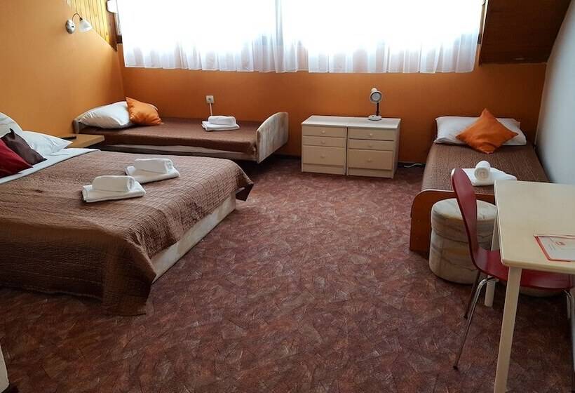 Отель Pansion Park