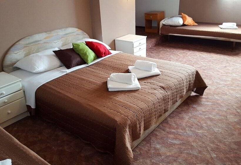 Отель Pansion Park