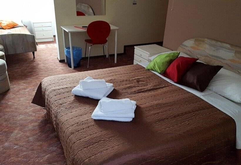 Отель Pansion Park