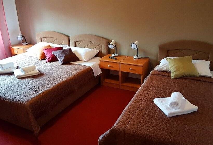 Отель Pansion Park