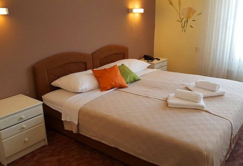 Отель Pansion Park