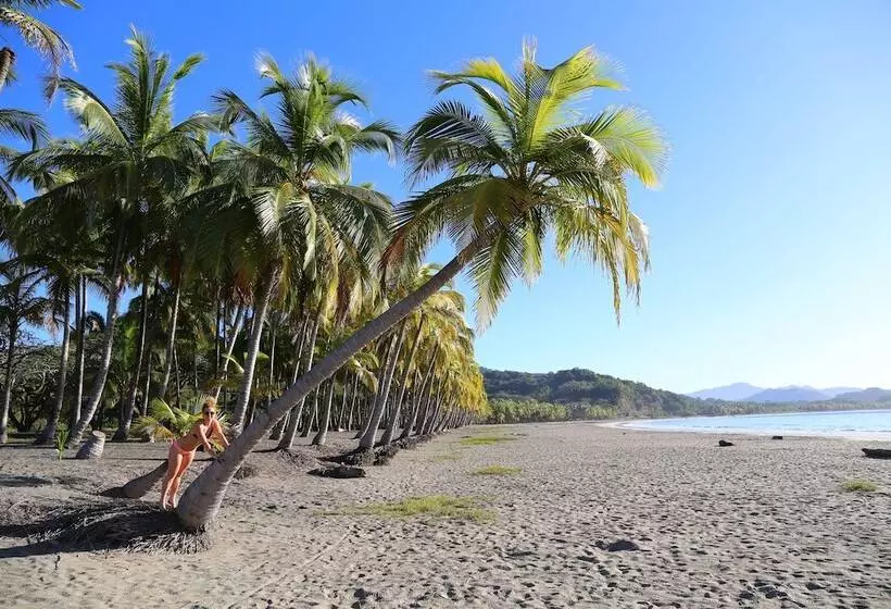 בית מלון כפרי The Hideaway