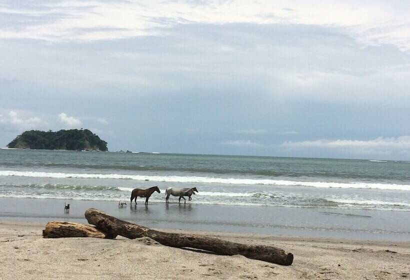 فندق The Hideaway