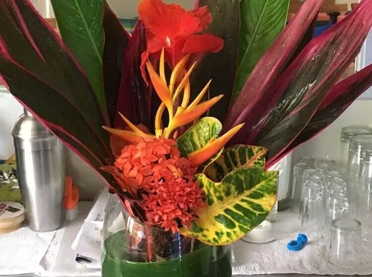 בית מלון כפרי The Hideaway