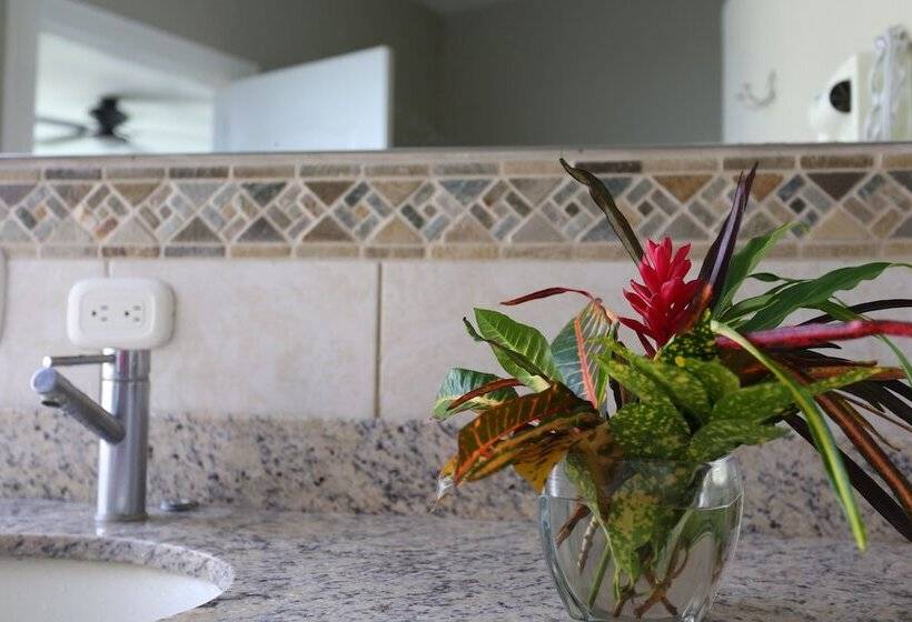 فندق The Hideaway