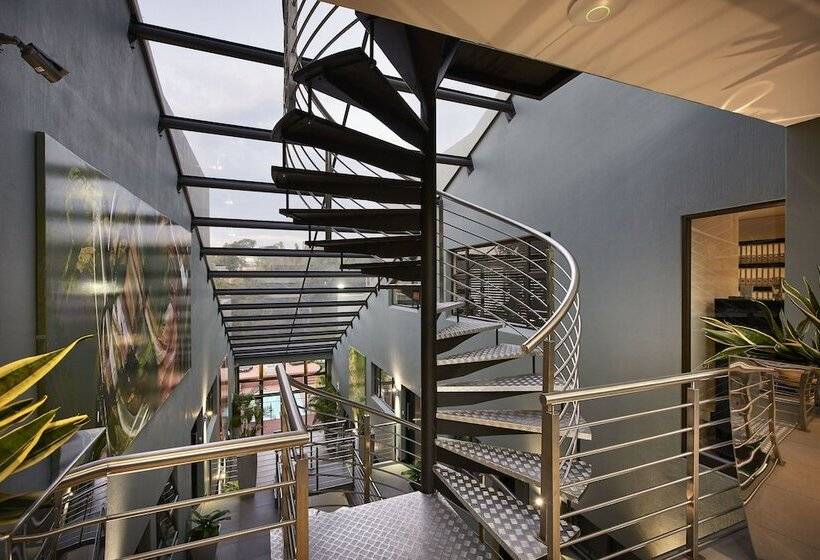 Dynasty Forest Sandown Serviced Apartments & Self Catering