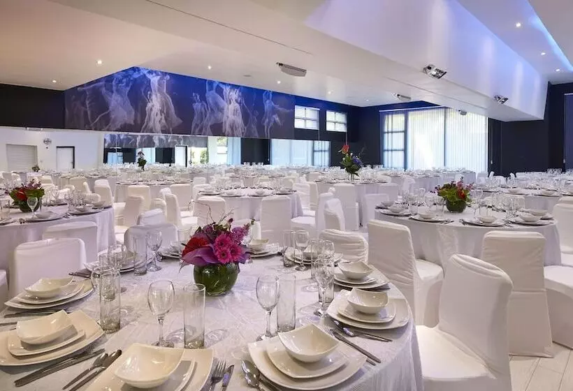 Dynasty Forest Sandown Serviced Apartments & Self Catering