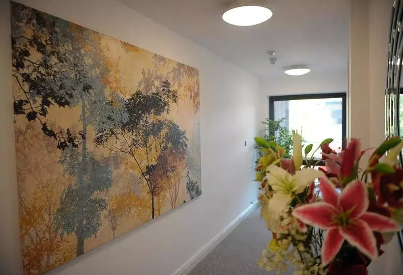 هتل Canary Heights