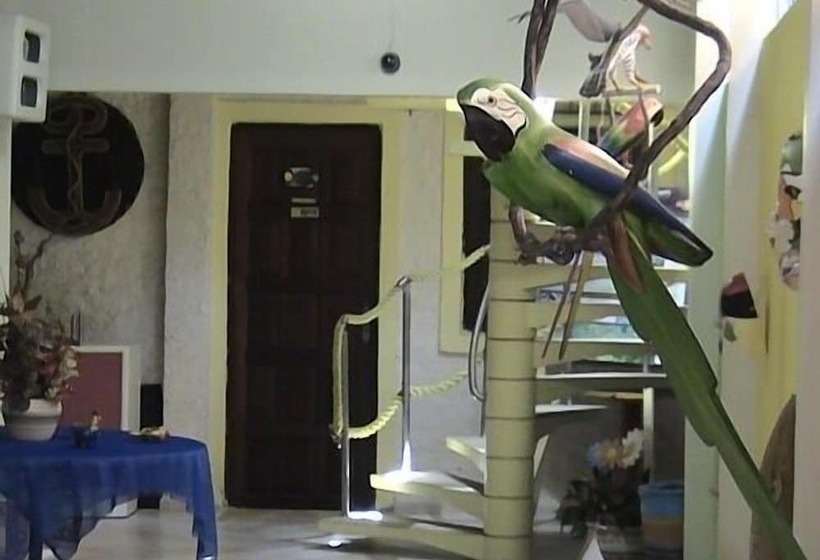 ホテル Pousada Porto Belo