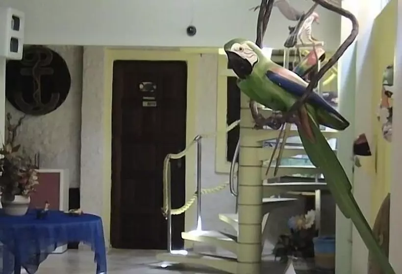 Otel Pousada Porto Belo