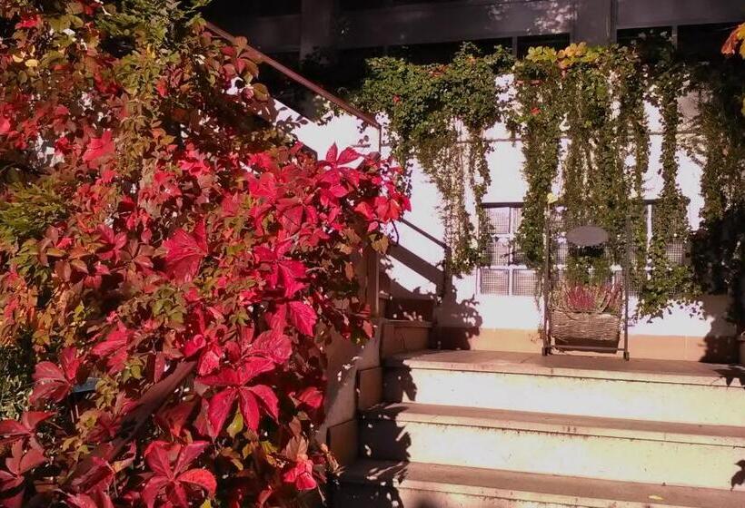 Hotel Ristorante Sole